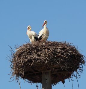 介護職の新人が直面するいじめの悩みとは？