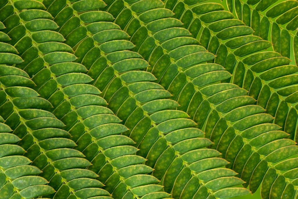 介護の悩みを解決するための掲示板の使い方は？