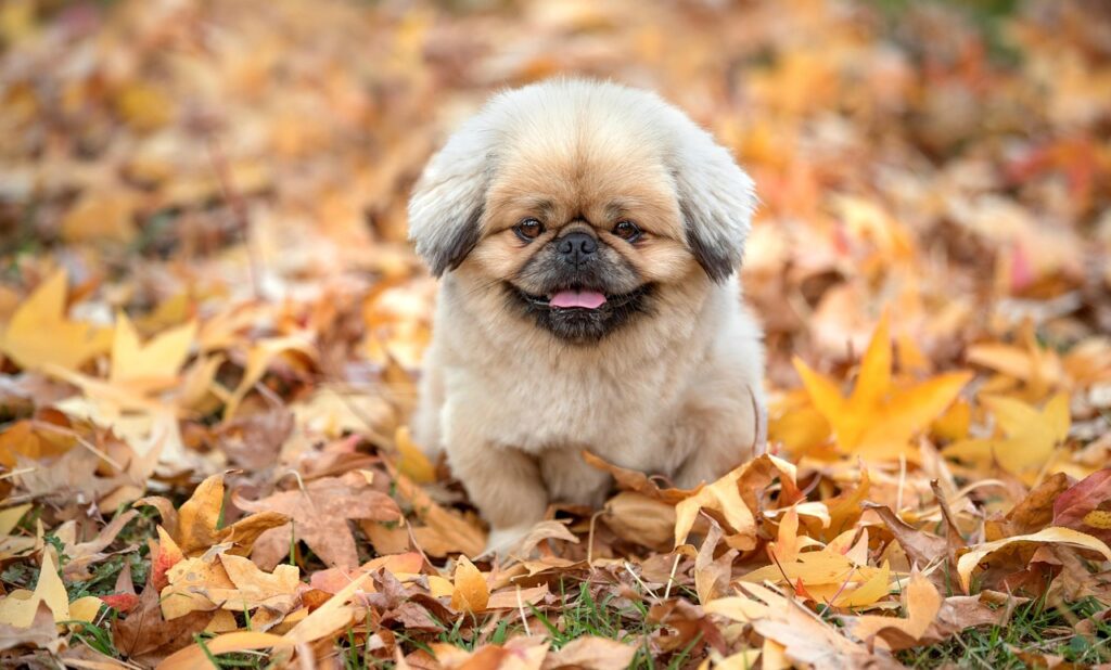 介護士が辞めたいと感じた時の相談先はどこ？