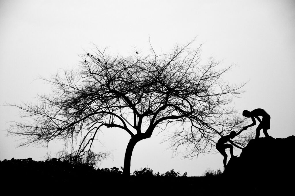 介護職の転職成功に向けた体験談とは？