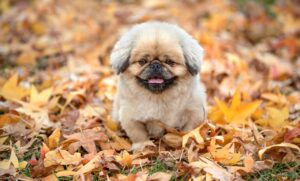 老人ホームの夜勤がつらいと感じる理由とは？