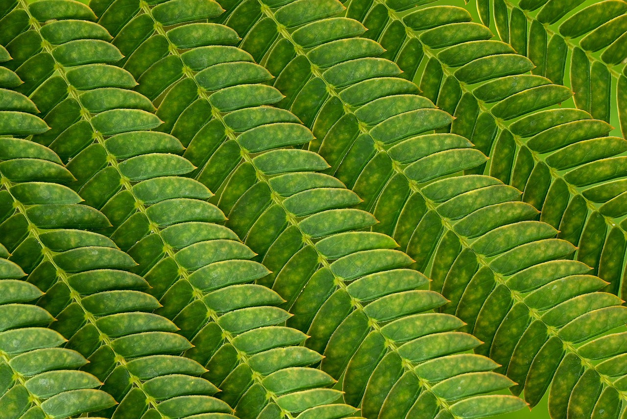 介護職未経験の30代が知っておくべき仕事内容とは？