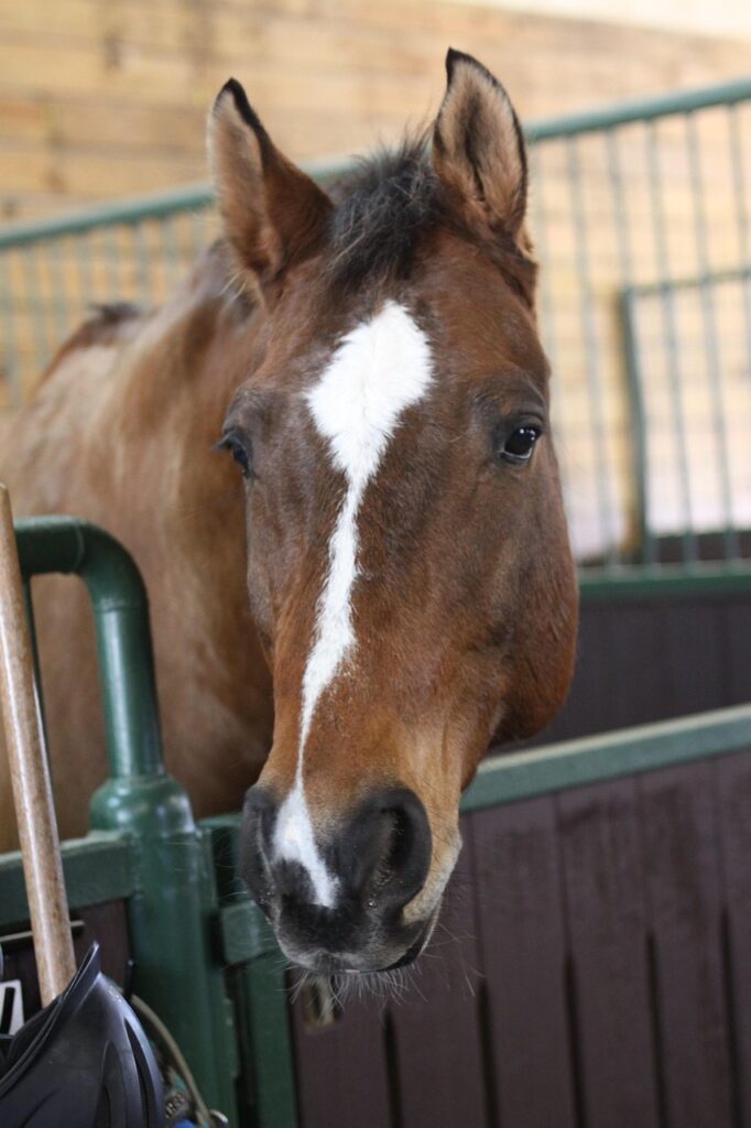 介護職から本部職に転職するためのなる方法は？
