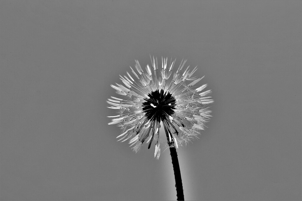 介護職で転職を考える際、Wワークは可能なのか？