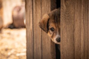 介護職の転職でクレームが多い施設の特徴は？