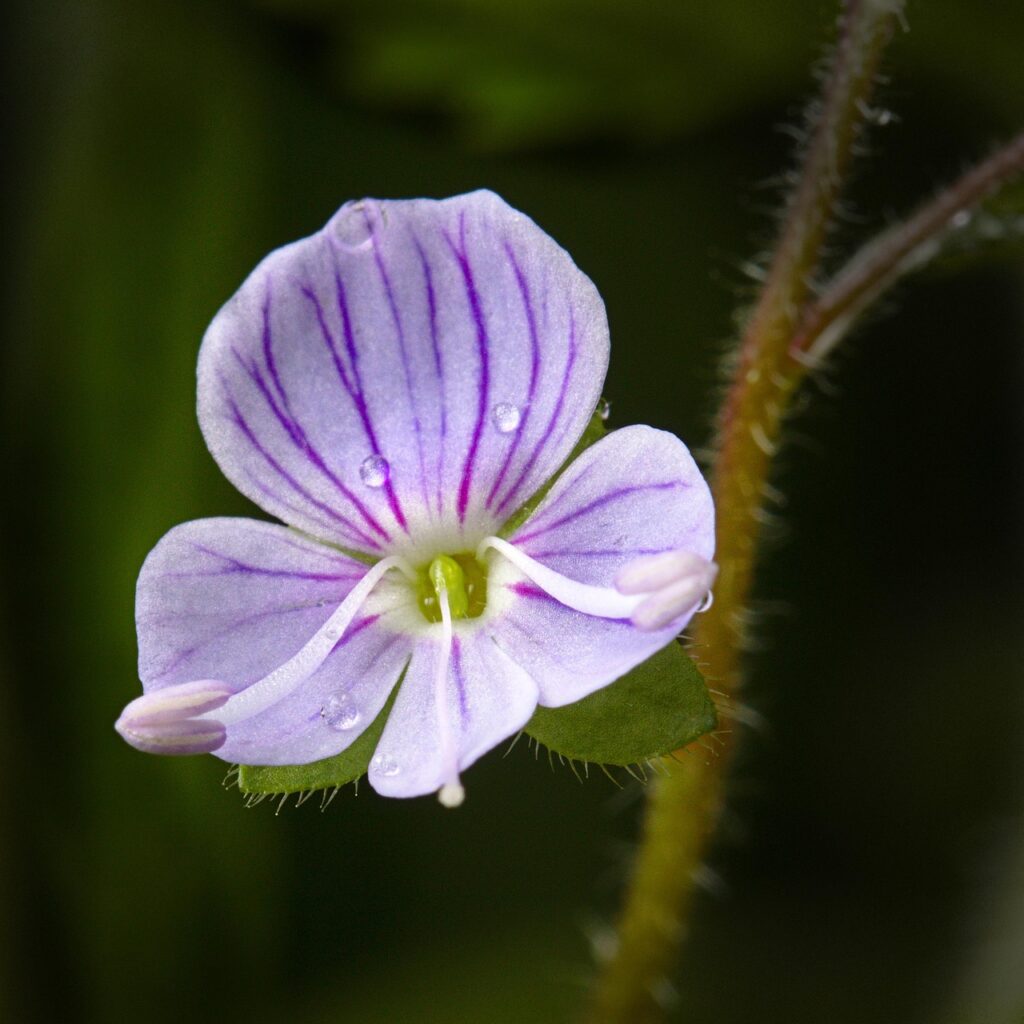 介護職の転職で省力化が進む施設の探し方は？