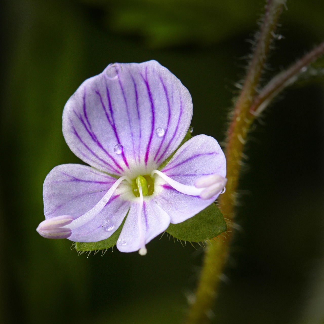 介護職の転職で省力化が進む施設の探し方は？