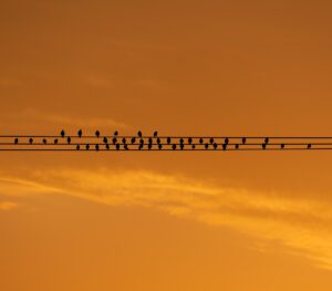 介護職の施設を比較する際に知っておくべきポイントは？