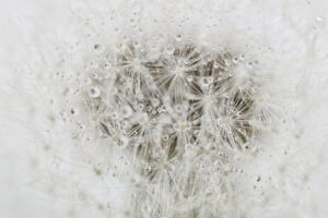 介護職の転職先に関する口コミはどこで見つけられる？