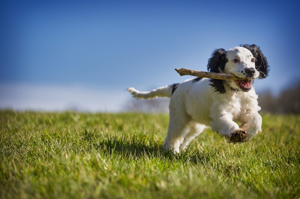 介護職の転職に必要な資格の取得方法は？